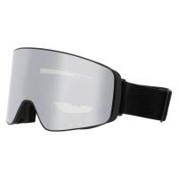 Маска горнолыжная Salice 106DARWF Black DARW Silver + Light Radium Spare Lens S1,S3