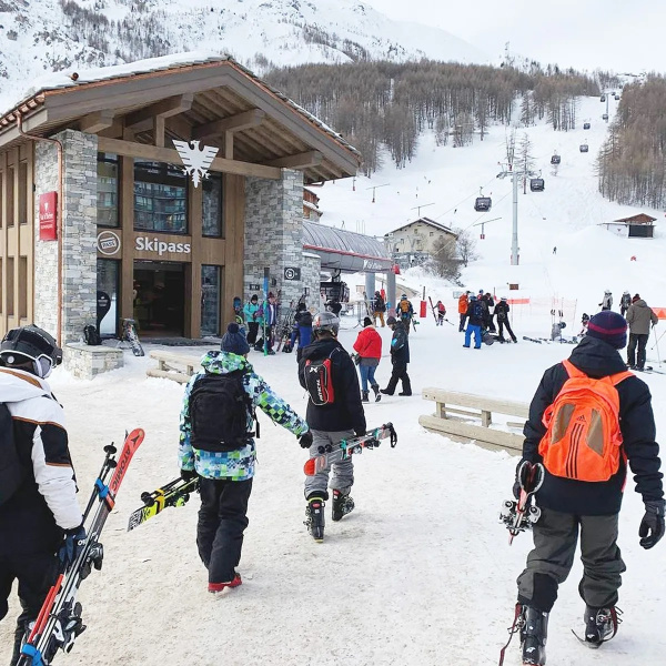 Приспособление для переноски лыж и лыжных палок SKI-N-GO 60-95 Black